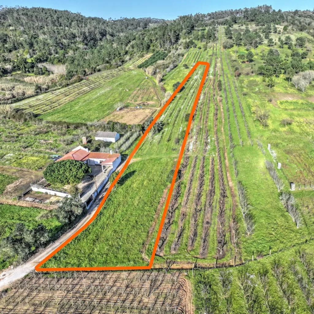 Terreno c/ Projecto Aprovado p/ Moradia T3 c/ 3 Suites, Parqueamento, Jardim e Piscina!