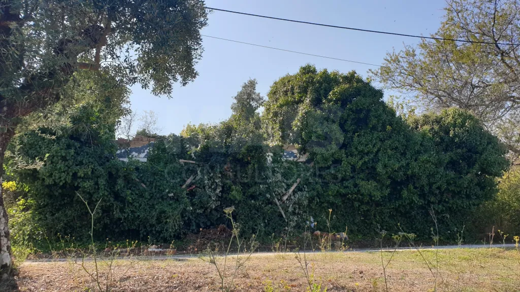 Terreno Misto com Ruina em TORRES NOVAS
