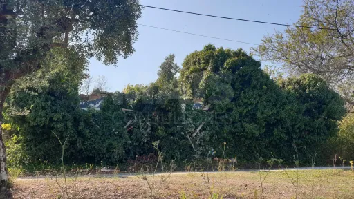 Terreno Misto com Ruina em TORRES NOVAS