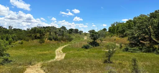Herdade com 11,6 hectares em São Bartolomeu da Serra, Santiago do Cacém