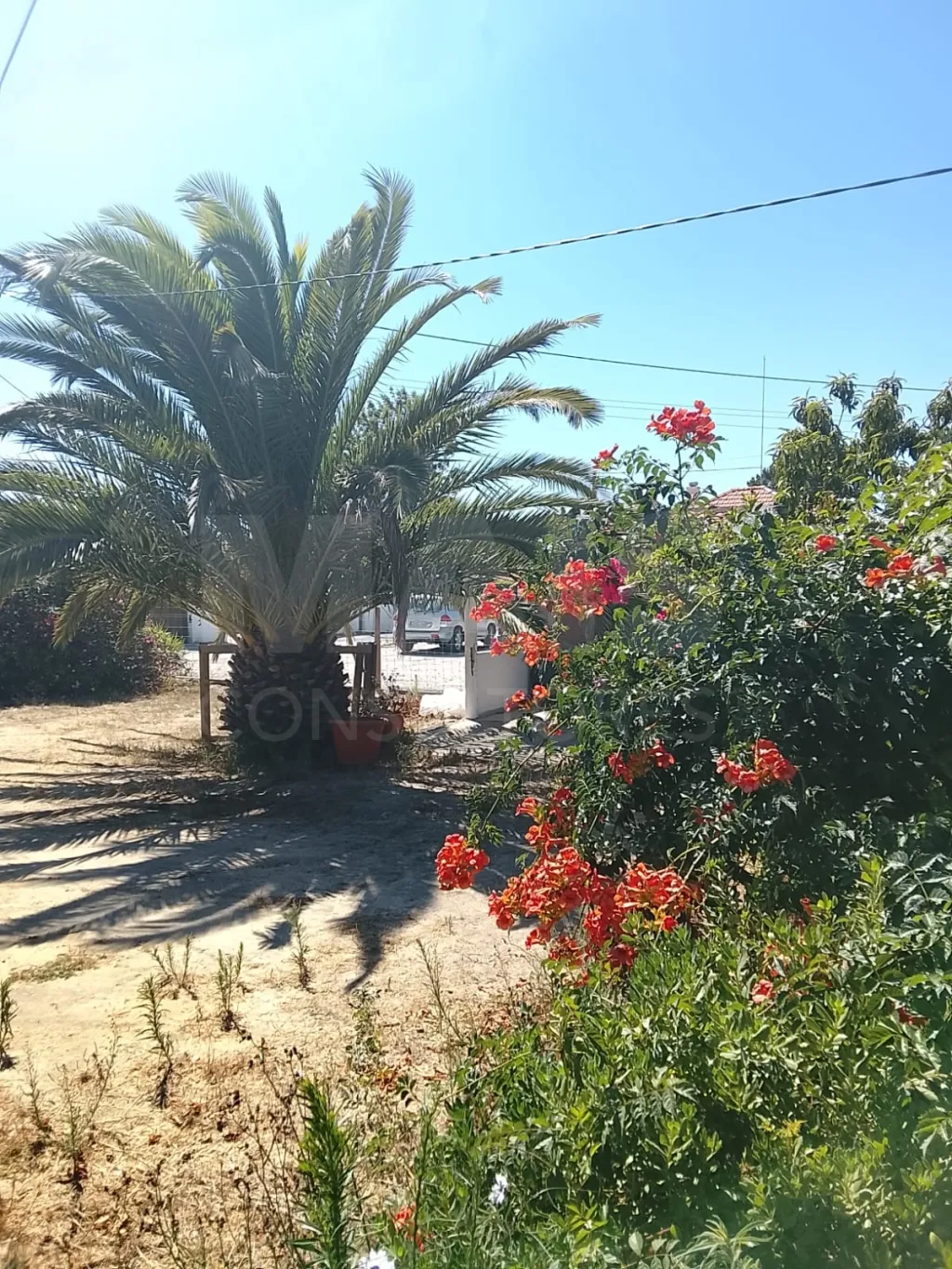 Moradia T2 com Quintal, Terraço e Churrasqueira em Vila Nova de Milfontes