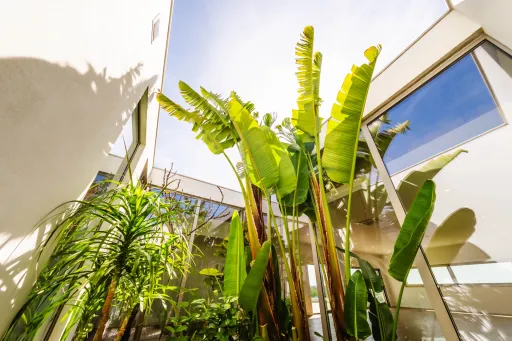 Moradia Contemporânea de Luxo com Vista Barragem, Piscina e 3.000m² Urbanos | Peniche