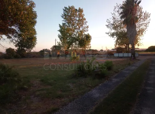 Moradia Térrea no Porto Alto com Sótão e Logradouro – Excelente Oportunidade de Investimento!