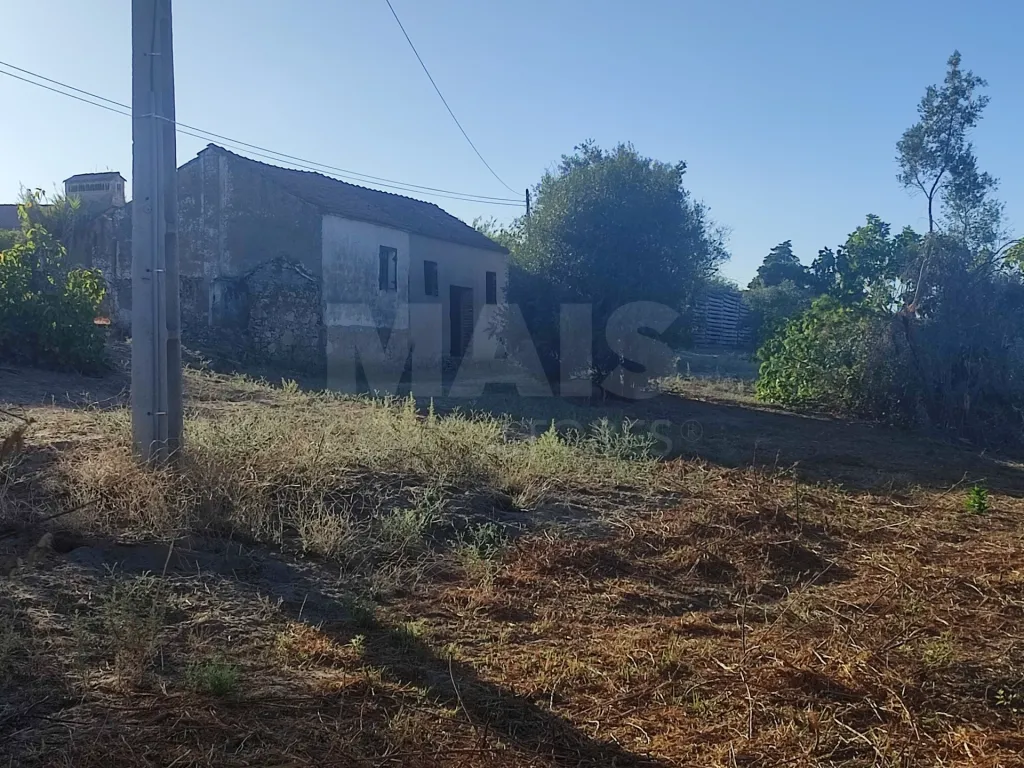 Quinta com moradia para recuperar na zona de Abrantes
