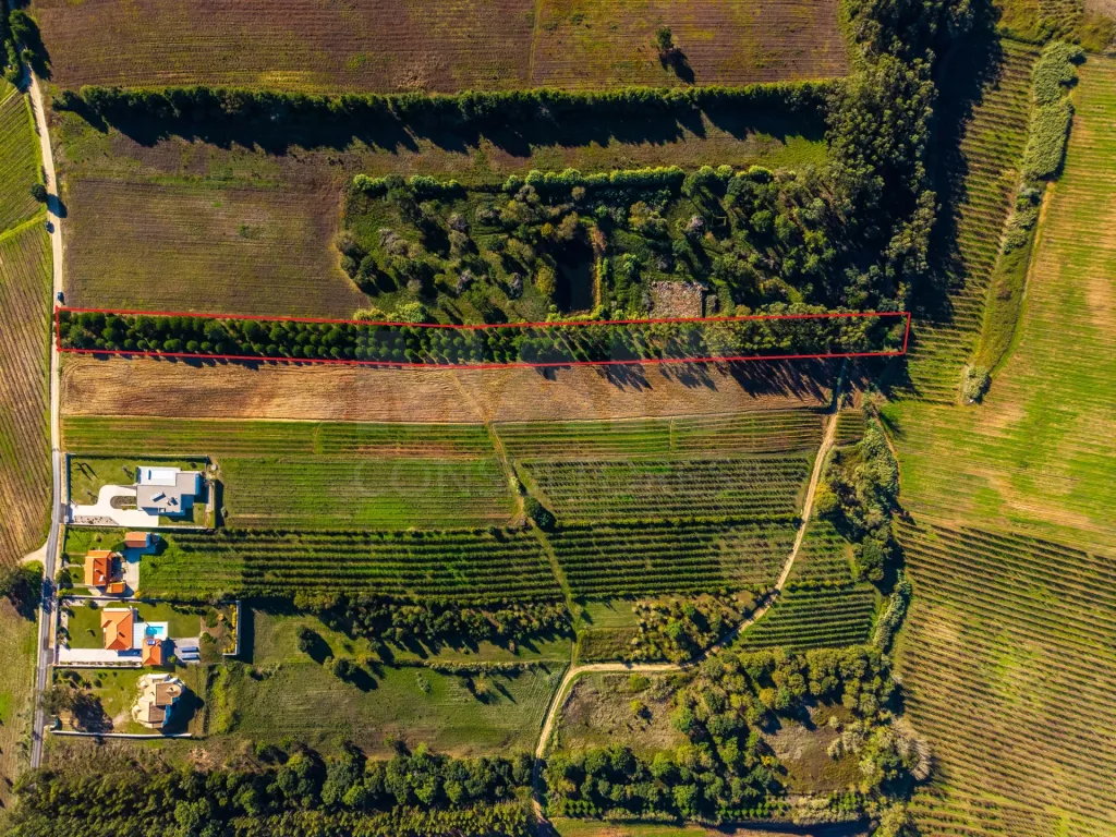 7240m2 plot with breathtaking views of the Montejunto mountain range