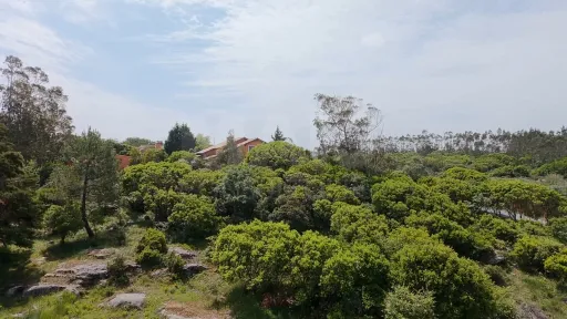 2 Terrenos Confinantes  