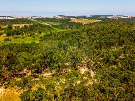 Terreno com quatro hectares e meio perto de indústria, no concelho de Torres Vedras