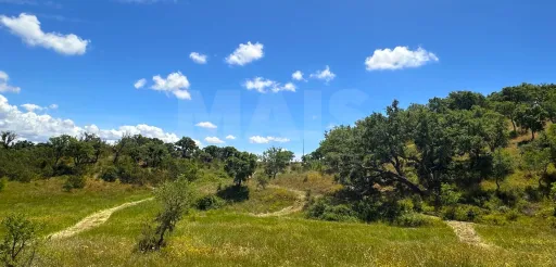 Herdade com 11,6 hectares em São Bartolomeu da Serra, Santiago do Cacém