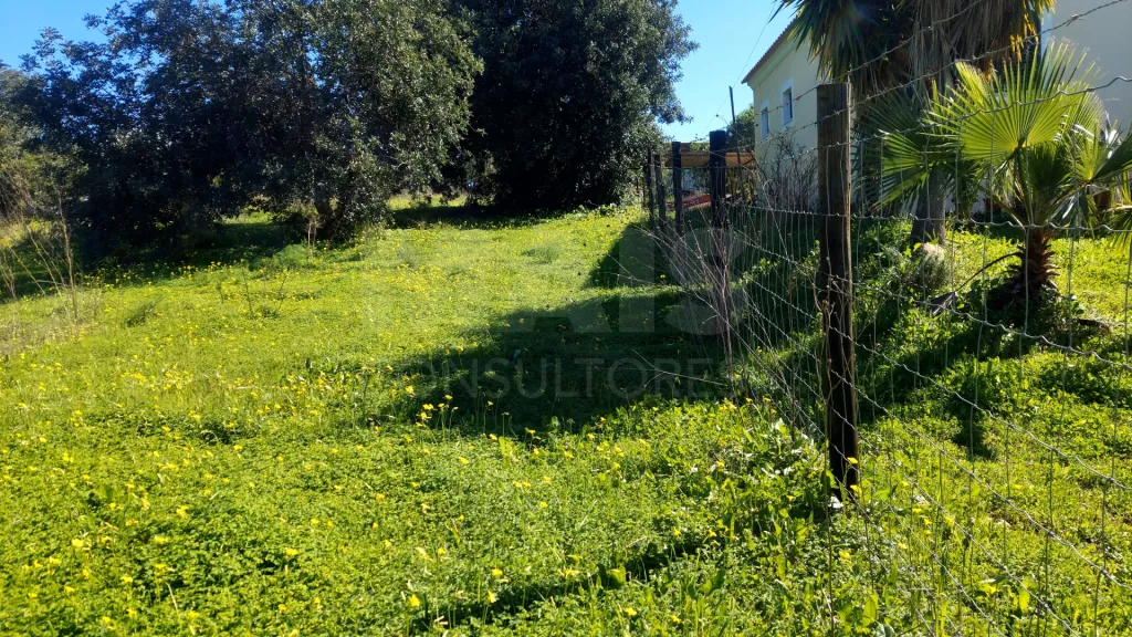 Lote de Terreno Rustico