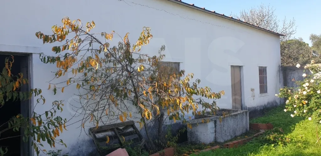 Moradia V 4 + Armazém + Casa Térrea de 45m2 em CASAIS ROMEIROS Santarém