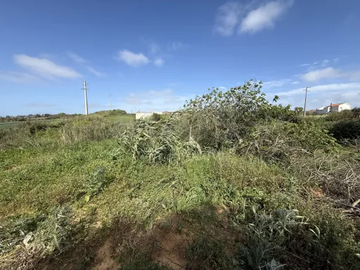 Terreno Rústico Exclusivo com Vista Mar | Natureza e Lifestyle Próximo das Praias de Peniche
