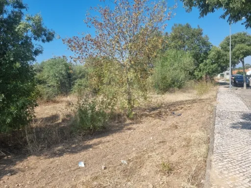 Terreno Rustico URBANIZAVEL Vila Nova da Barquinha