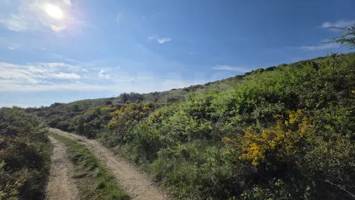 Rustic land with open views