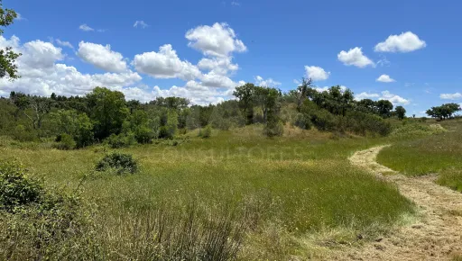 Herdade com 11,6 hectares em São Bartolomeu da Serra, Santiago do Cacém