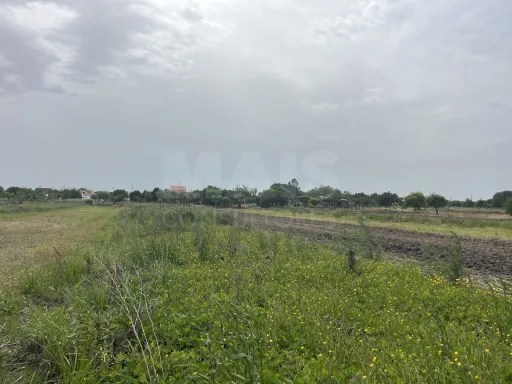 Terreno rústico com 2000m2 em Montinho dos Pegos, Coruche