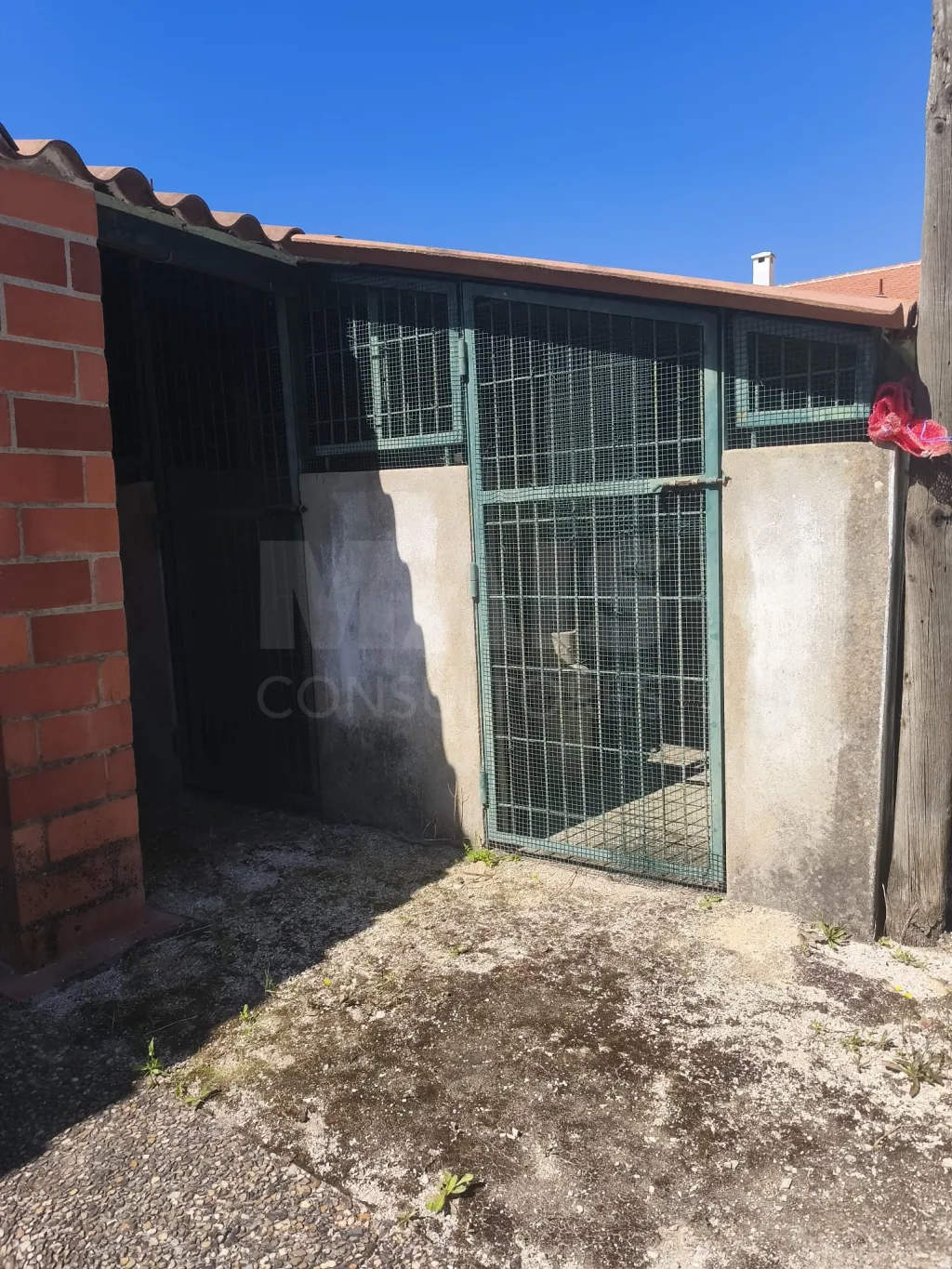 Propriedade com Piscina e Instalações Equestres – Um Refúgio Tranquilo com Potencial de Expansão