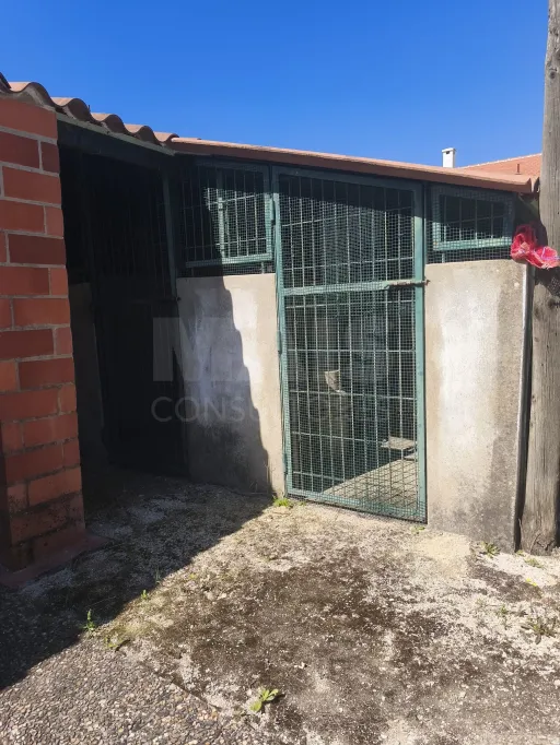 Propriedade com Piscina e Instalações Equestres – Um Refúgio Tranquilo com Potencial de Expansão