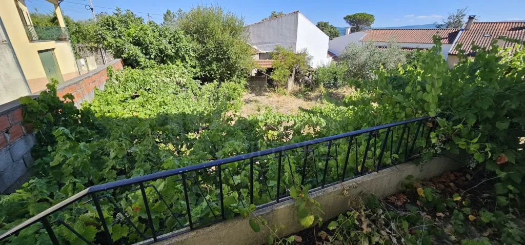 Moradia 2 Pisos centro Peroviseu c/ Terreno 500m2 e Garagem