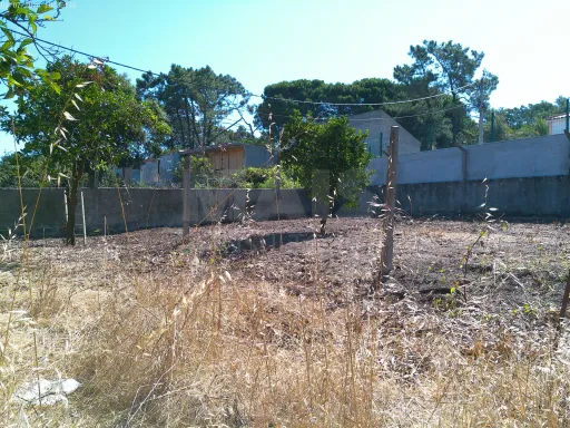 Terreno Rústico, Quinta da Oliva - Charneca da Caparica