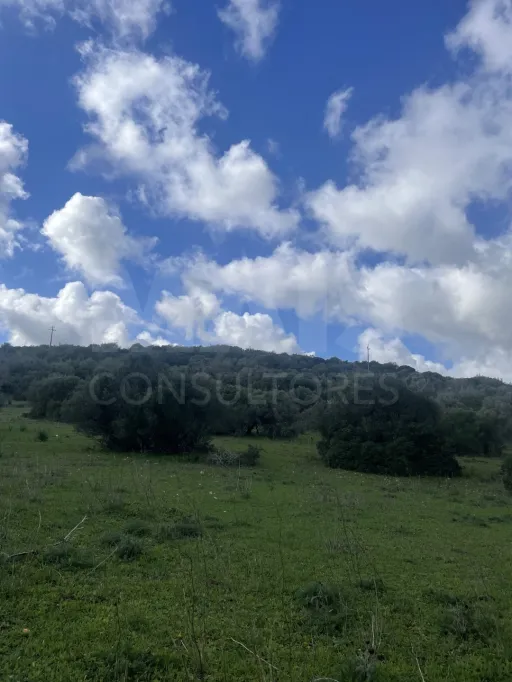 Monte Alentejano com 16Hectares e Casa de 180 m² para Recuperar