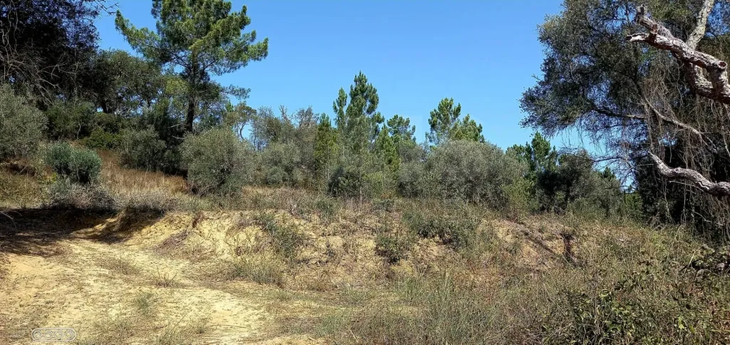 Terreno para Construção em Vale do Mouro de Baixo, Melides