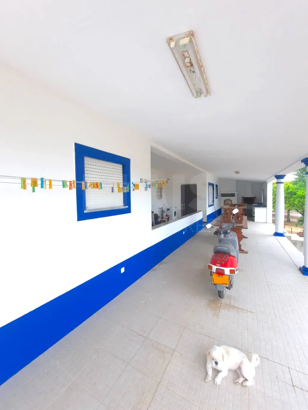 Moradia Térrea V3 com terreno urbano de 3780m2 no Alentejo