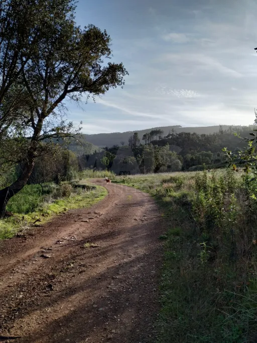 Monte Alentejano com 2 Ruínas