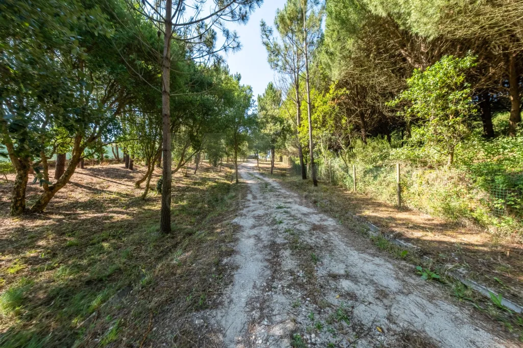 Terreno Agrícola na Fanadia | 16.100 m² de Potencial e Infraestruturas Preparadas