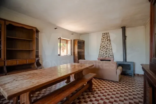 Quintinha T3 com 7.616 m² de terreno urbano e anexos (Casal do Rei)