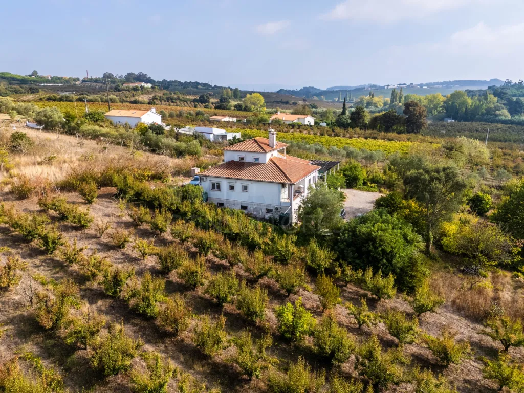Quinta T4 C/ Garagem e mais de 13.000 m² terreno em Carvalhal, Bombarral