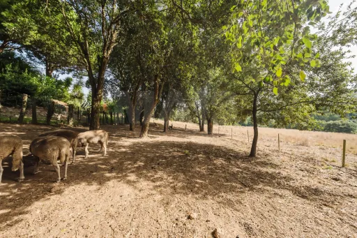 Propriedade única, a apenas 2 km de Alcobaça, com mais de 30.000 m² de terreno