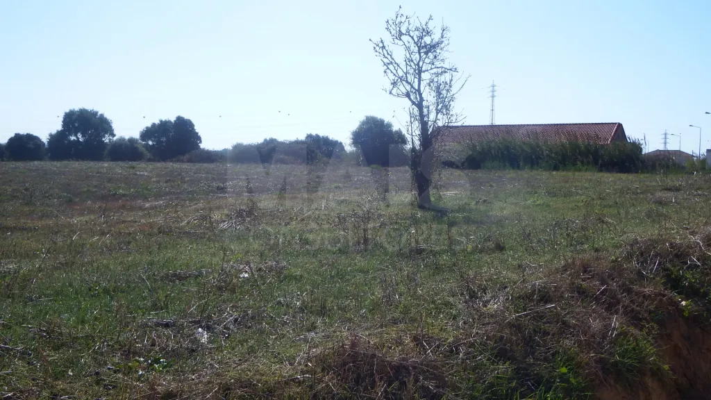 Quinta com Adega | 37.500 m² | Atouguia da Baleia, Peniche