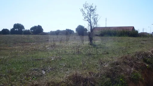 Quinta com Adega | 37.500 m² | Atouguia da Baleia, Peniche