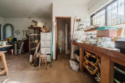 Propriedade única, a apenas 2 km de Alcobaça, com mais de 30.000 m² de terreno