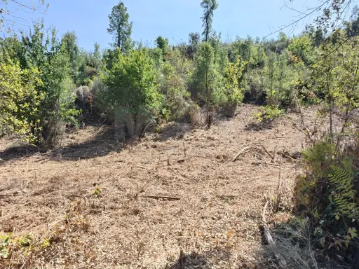 Terreno com 1587m2 para construir