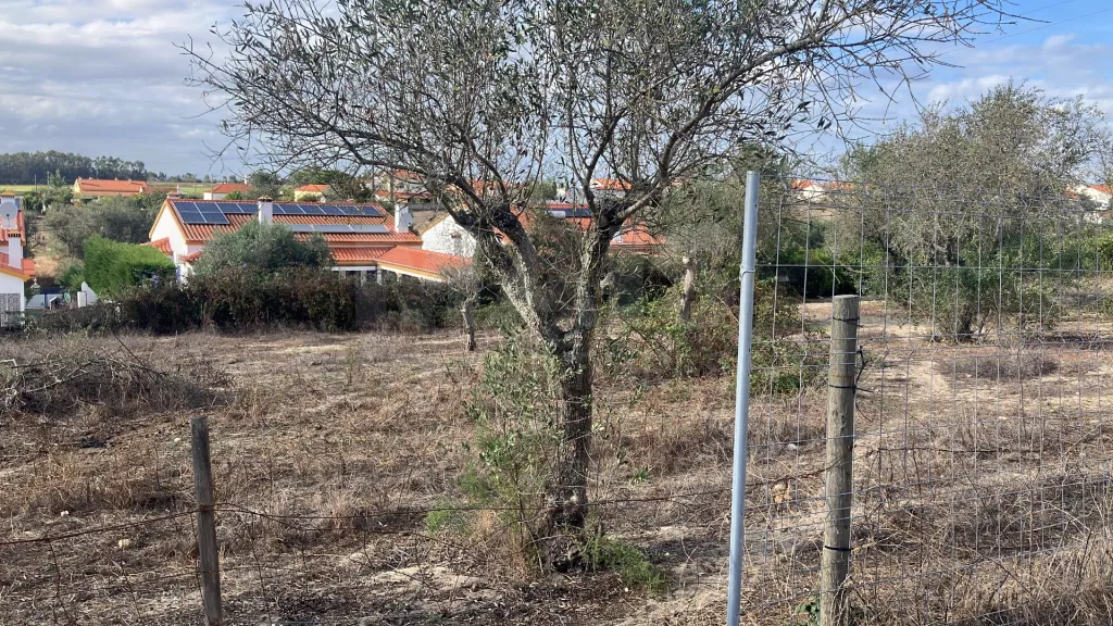 Terreno Foros de Salvaterra