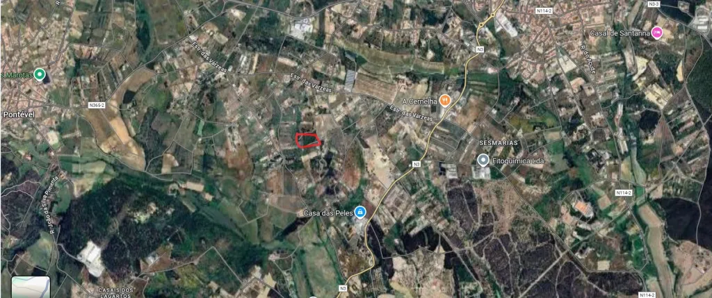 Terreno Rústico no Cartaxo com 10080m2 - Excelente investimento!