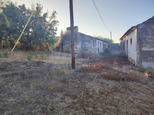 Quinta com moradia para recuperar na zona de Abrantes