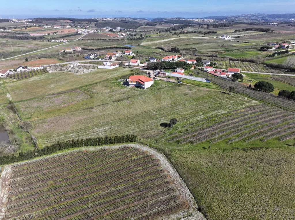 Plot w/ Project & Building Permit until 2028!