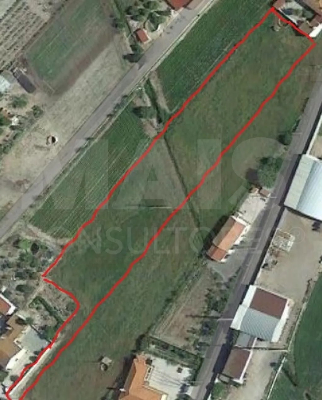 Terreno | Foros de Salvaterra |Com Poço