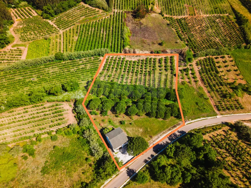 Moradia Isolada com Terreno de 9.840 m² em Barreiras – Cadaval