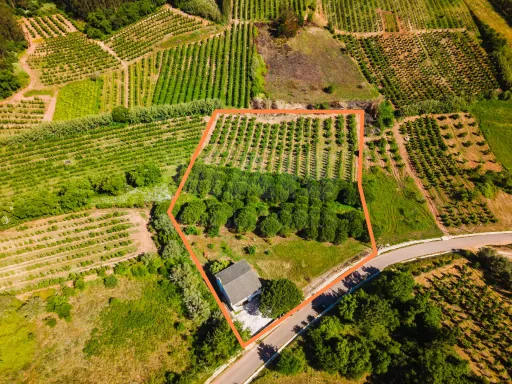 Moradia Isolada com Terreno de 9.840 m² em Barreiras – Cadaval