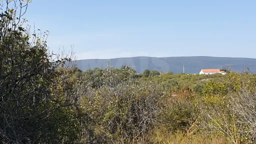 Terreno Misto com Ruina em TORRES NOVAS