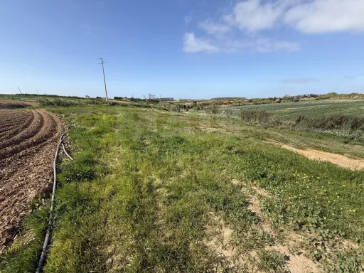 Terreno Rústico Exclusivo com Vista Mar | Natureza e Lifestyle Próximo das Praias de Peniche