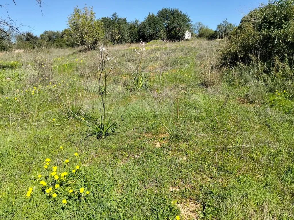 Lote de Terreno Rustico