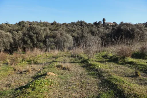 Terreno Rustico em Porches