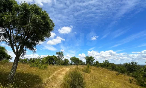 Herdade com 11,6 hectares em São Bartolomeu da Serra, Santiago do Cacém