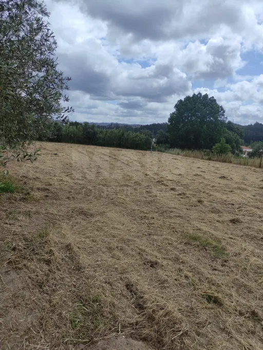 Lote de Terreno em Leiria
