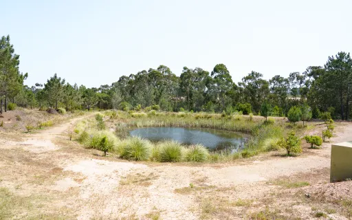 Prédio Agro Turismo Rural de Requinte – em Aljezur com 17 hectares