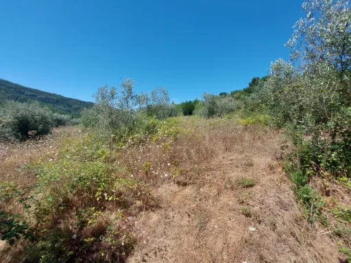 Rustic land with 2425m2 Pisão - Côja.